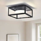 Modern ceiling light, LED ceiling light Fixture, Black  Light for Bedroom and Hallway, Cool White Light
