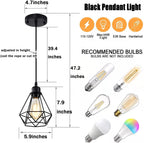 Black Pendant Light Industrial for Kitchen Island 2 Pack