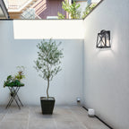 Black Outdoor Wall Lantern Exterior Waterproof Outdoor Wall Sconces